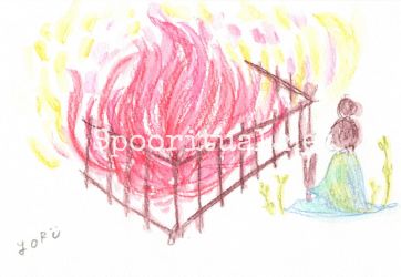 2019年*秋葉原ヒーリングマーケットで描いてもらったチャネリングアート。喋ってると突然サラサラ描き出すよるちゃん。色んな物事を整理整頓していく中、「育ってきてる大切な芽まで炎の中に入れて燃やさないようにね」そんなメッセージでした。